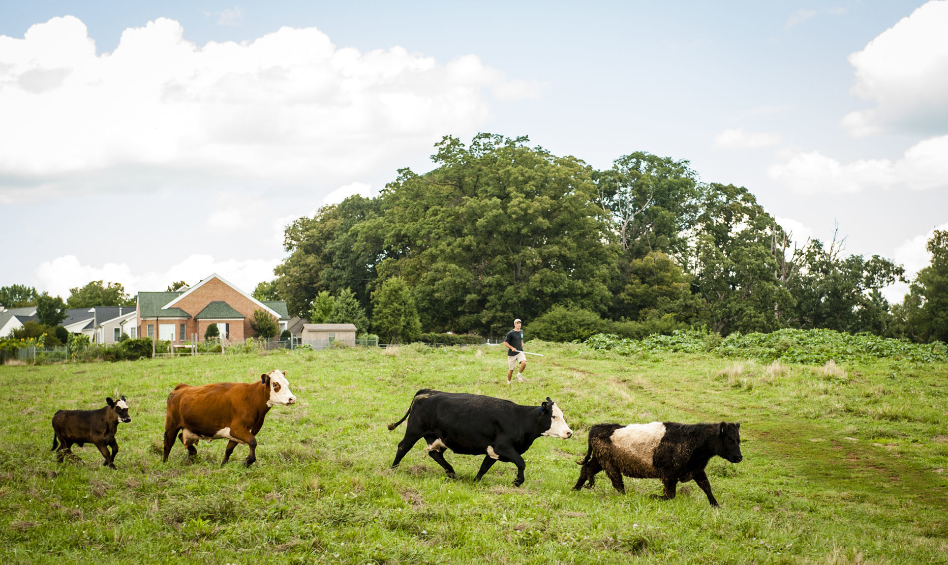 childrensfarm